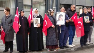 Vanlı annelerin evlat nöbeti 114üncü haftasında