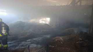 Vizede palet fabrikasının deposunda yangın