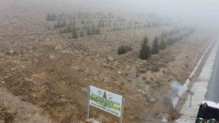 Yahyalıya bin 200 fidan dikildi