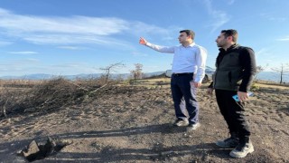 Yangın alanları yeşile bürünüyor