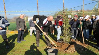 Yeşil Düzcede fidanlar toprakla buluştu