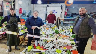 Yılan balıkları7 bin kilometre kat ederek Meksika Körfezinden Aydına ulaştı