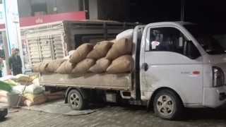 Yılbaşına günler kala fındık fiyatları yükselişe geçti