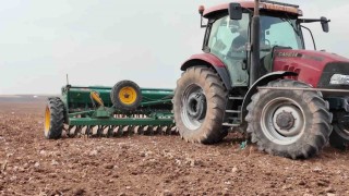 Yıldız Tarım, Mardinde yerli tohum üretimini güçlendirip ihracatta hedef büyütüyor