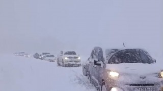 Yüksekovada kar esareti: Tipi yolları kapattı, onlarca araç mahsur kaldı