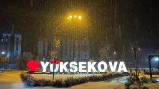 Yüksekovada lapa lapa kar yağışı