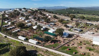 Yunusemrede sokak hayvanlarına örnek yaşam merkezi