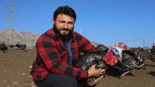 Yurtdışından dönüp, memleketine çiftlik kurdu