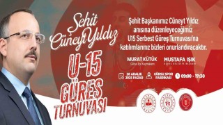 Yüzlerce güreşçi Gürsuda bir araya gelecek