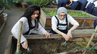 Zeytinburnunda ergoterapi öğrencileri engeli olan bireylerle birlikte fide ekti