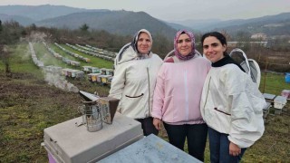 Zonguldakta anne ve kızları arıcılık mesleğiyle kestane balı üretiyor