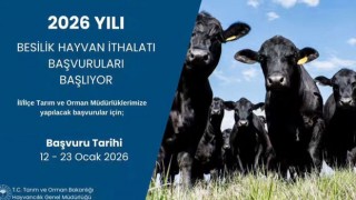 2026 Besilik Hayvan İthalatı Başvuruları Başlıyor