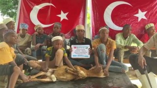 6 yıl süren boşanma davası sonuçlanır sonuçlanmaz Afrikada 8 adet adak koç kestirdi
