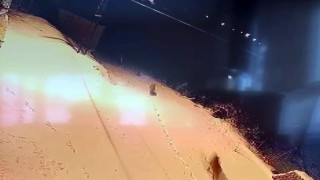 Aç kalan kurt sürüsü şehir merkezine indi