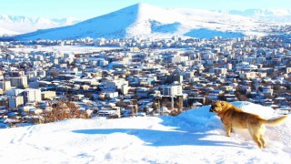 Afşinde kar sonrası manzara hayran bıraktı
