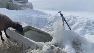 Ağrıda soğuk hava etkisini göstermeye devam ediyor