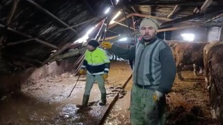 Ahırın çatısı yağan karın ağırlığını taşıyamadı, hayvanlar komşuların yardımıyla kurtarıldı
