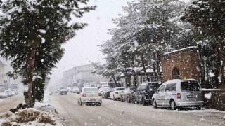 Ahlatta yoğun kar yağışı
