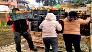 Alaçatıdan Hataya dayanışma köprüsü
