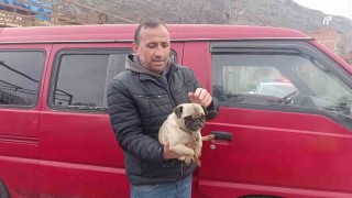 Amasyada yangında mahsur kalan köpeği muhtar kurtardı