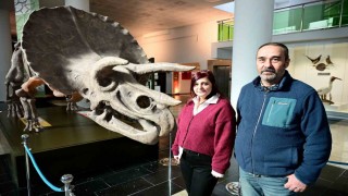 Anadolunun genetik hafızası bu müzede korunuyor