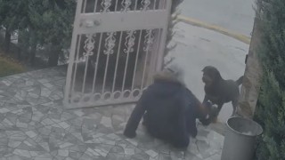 Ankarada sahipsiz köpeklerin saldırısına uğrayan kadın komşusunun müdahalesiyle kurtuldu