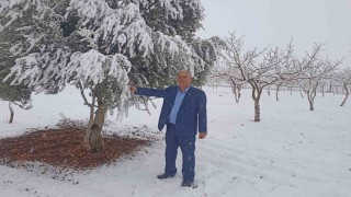 Arabanda kar yağışları çiftçiler, zeytin ve Antepfıstığı üreticilerinin yüzünü güldürdü