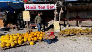 Araştırmacı kavuncu dede ata tohumlarını geleceğe taşıyor