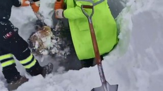 Artvinde çığ bölgesinde arama kurtarma çalışmaları ikinci günde yeniden başladı
