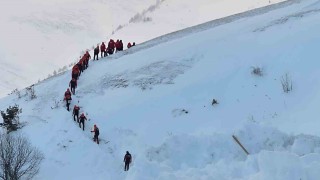 Artvinde çığ faciasında kayıp çoban için arama çalışmaları üçüncü gününde yeniden başladı