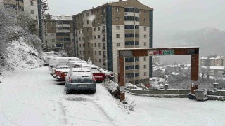 Artvinde kar etkili oluyor