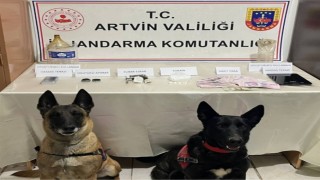 Artvinde uyuşturucu operasyonu