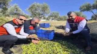 Aydında bir yılda 3 bini aşkın tarımsal denetim yapıldı