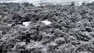 Başakşehir Şamlar Tabiat Parkı beyaza büründü