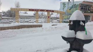 Başkale kara gömüldü, 88 yerleşim yerinin yolu kapandı