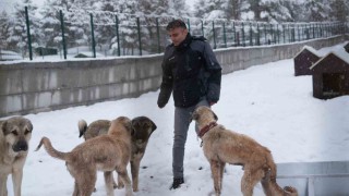 Battalgazide Malatyanın ikinci hayvan barınağı hizmete başladı