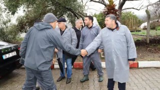 Bayındır Nergis ve Kuru Çiçek Festivali iptal edildi