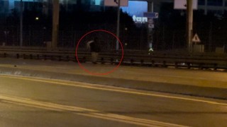 Beylikdüzü E-5te tehlikeli yürüyüş