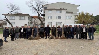 Bilecikte çiftçilere meyve fidanı desteği