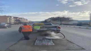 Bilecikte haşerelere karşı kışlık mücadele