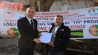 Bilecikte Marul Daha Bi İyi Projesi ile üretim tescillendi