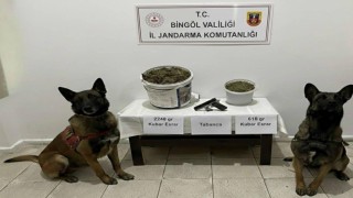 Bingölde uyuşturucu operasyonu: 3 gözaltı