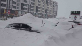 Bitlis kara gömüldü, 335 köy yolu kapalı