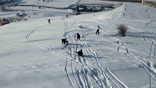 Bitliste adrenalin tutkusu tehlikeye davetiye çıkardı