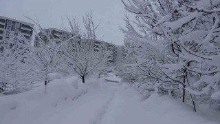 Bitliste kar esareti, 229 köy yolu ulaşıma kapalı