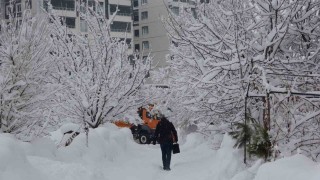 Bitliste kar yağışı yeniden etkili oldu