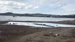 Bodrumda deniz çekildi