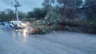 Bodrumda fırtına etkili oldu