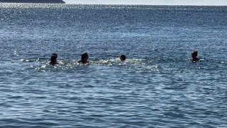Bodrumda yeni yılın ilk gününde denize girdiler