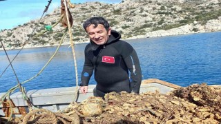 Bozburunda hayalet ağlar denizden temizlendi